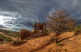 _MG_1899-Pano-2 _MG_1899-Pano-2